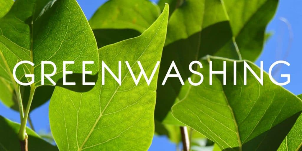 palabra greenwashing y de fondo unas hojas verdes