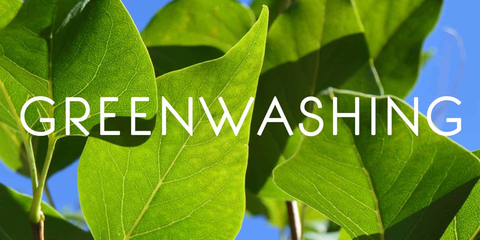 palabra greenwashing y de fondo unas hojas verdes