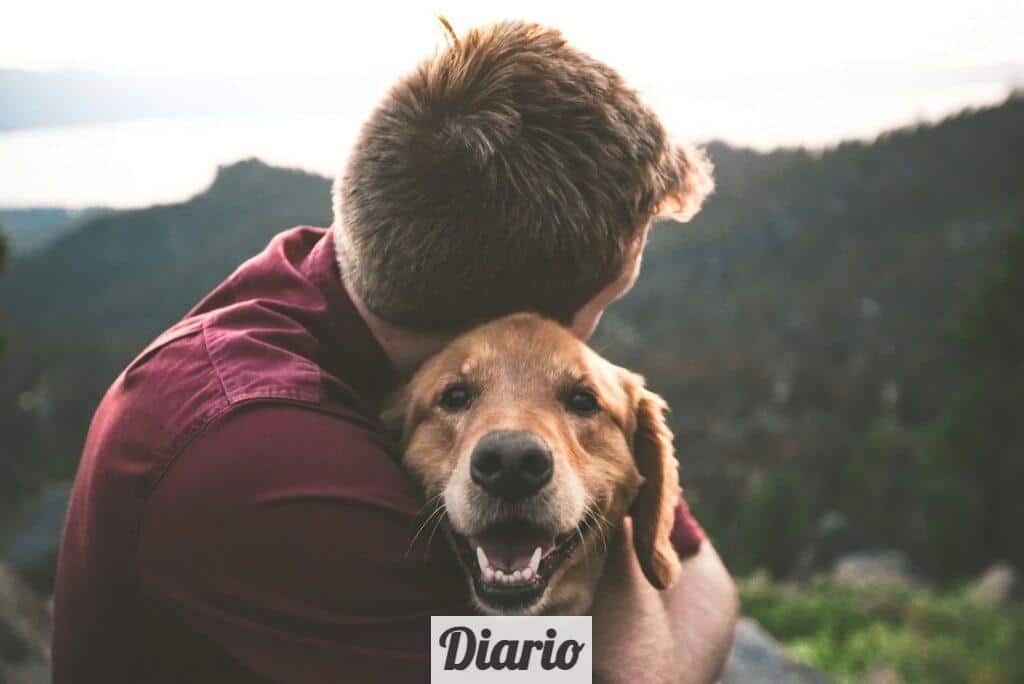 photo of man hugging tan dog